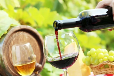 Weintasting Ein Glas Rotwein wird neben einem Weinfass eingeschenkt, im Hintergrund grüne Weinreben.