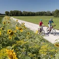 Am Große Laber-Radweg bei Eggmühl Zwei Radfahrer fahren auf einem geschotterten Abschnitt des Große Laber-Radweg an einem Sonnenblumenfeld entlang mit strahlend blauem Himmel und einem kleinen Wäldchen im Hintergrund
