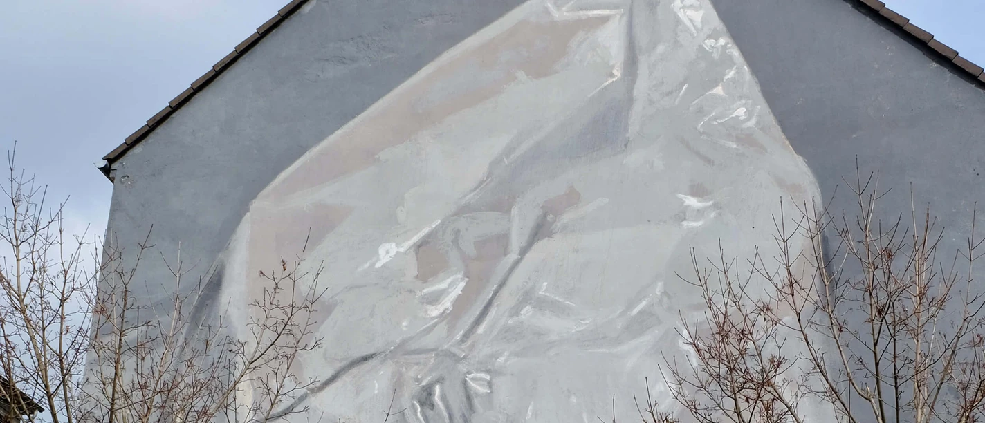 Mural Eine triste, graue Hauswand zeigt ein monumentales Wandgemälde: Ein riesiges, eingewebtes Gesicht, fast transparent und von leichten Falten durchzogen. Vor der Fassade stehen kahle Bäume, die mit ihren Ästen das Bild nicht verdecken, sondern eher umrahmen.