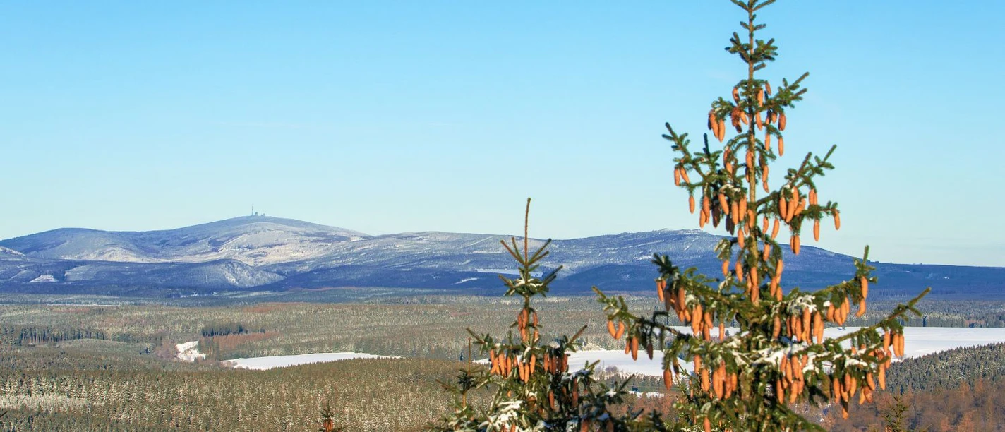 Blick auf den Brocken Blick auf den Brocken