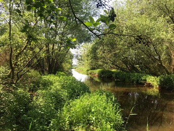 Wörpe im Sommer Blick auf die Wörpe von der Brücke