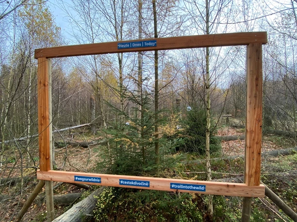 Fotospot am Lehrpfad "Weg zur Wildnis"