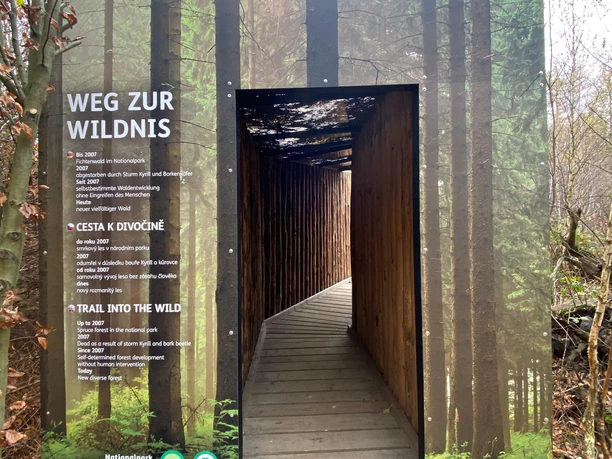 Eingang des Lehrpfad "Weg zur Wildnis" - Teil 1