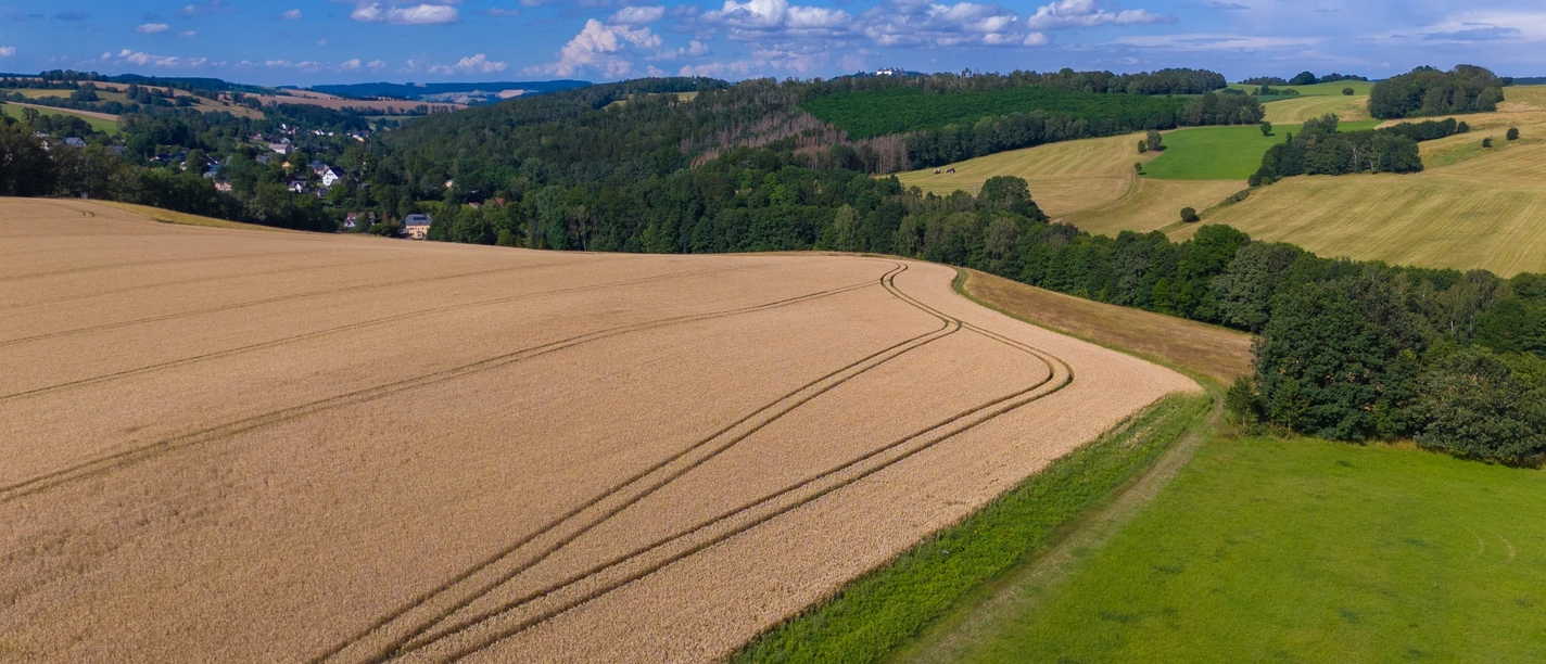 Blick auf den Weg von oben