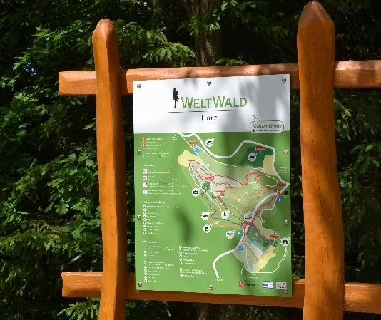 Infotafel im Weltwald Bad Grund