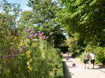 Botanischer Garten Frankfurt