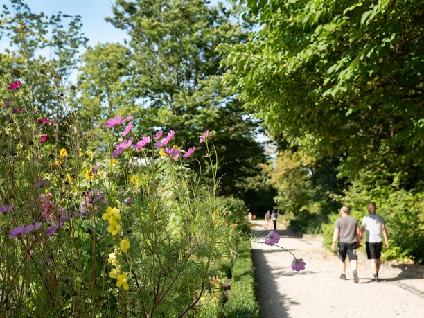 Botanischer Garten Frankfurt