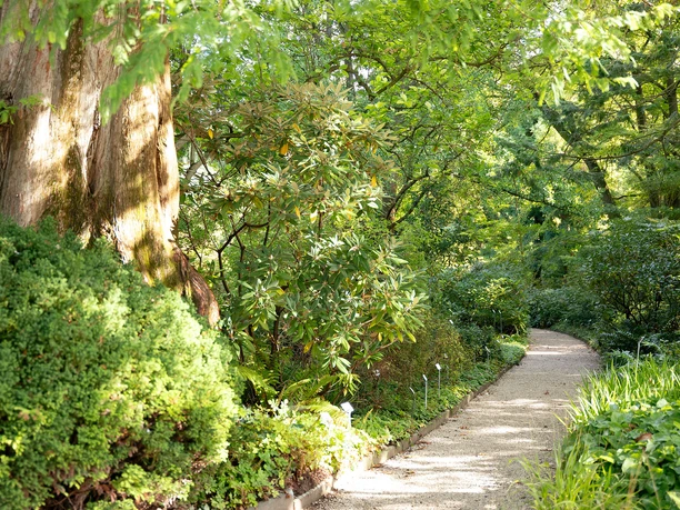 Botanischer Garten Frankfurt