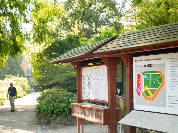 Botanischer Garten Frankfurt