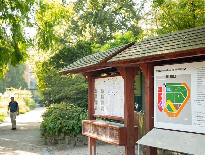 Botanischer Garten Frankfurt