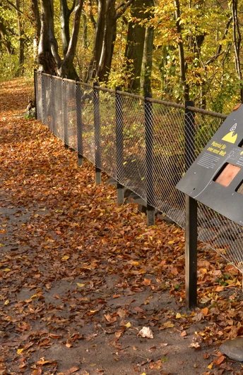 Erlebnispfad "Expedition Himberg"