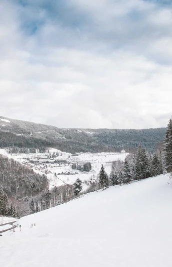 Blick über den Stieg, hinüber zum Dollenberg