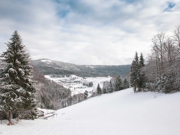 Blick über den Stieg, hinüber zum Dollenberg