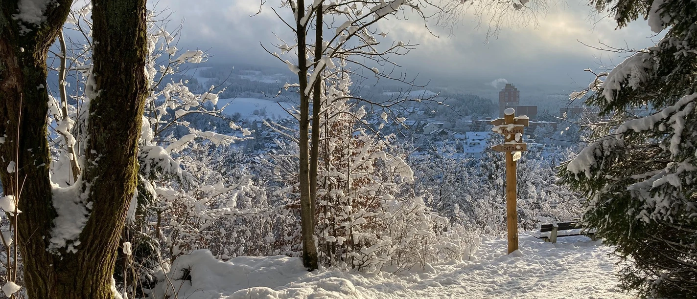 Altenau im Winter