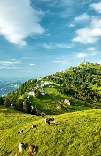 Blick auf Rigi Kulm