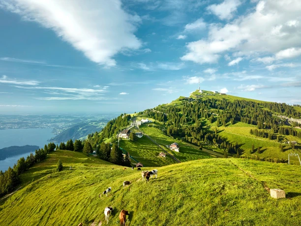 Blick auf Rigi Kulm