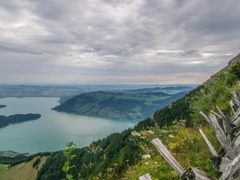 Auf zum Rigi Kulm-Gipfel