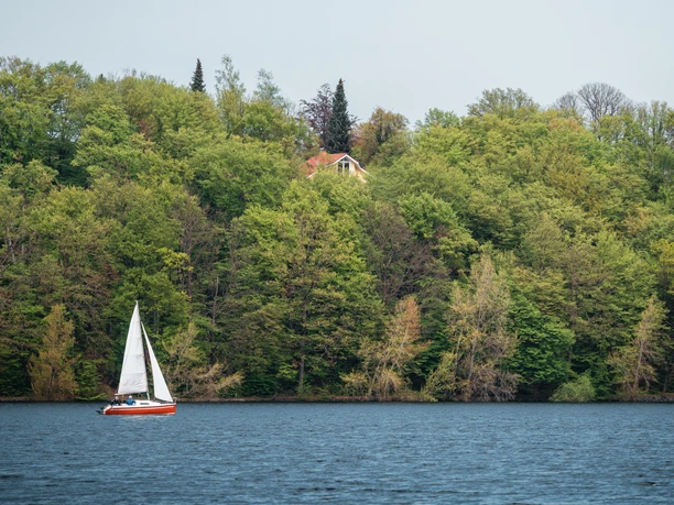 Region Edersee Frühjahr 2024 084 - CC0 Christoph Partsch - Crispy Fotografie.jpg