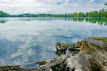 Soppensee