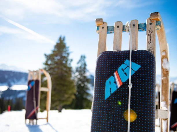 Schlitteln auf der Rigi