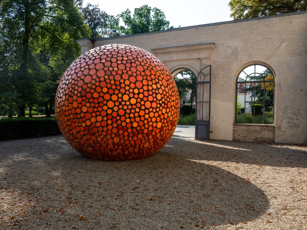 Orange im Bestehornpark Aschersleben