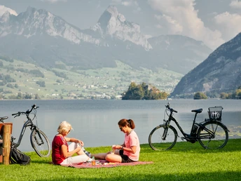 E-bike Genusstour - Picknick-Halt am Lauerzersee