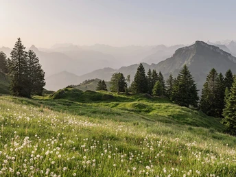 Eine aussichtsreiche Wanderung nach Rigi Burggeist