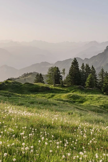 Eine aussichtsreiche Wanderung nach Rigi Burggeist