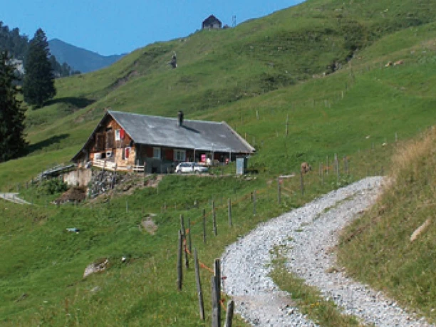 Alp im Aufstieg zur Goldplangg