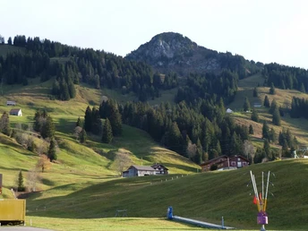 Blick auf den Roggenstock.
