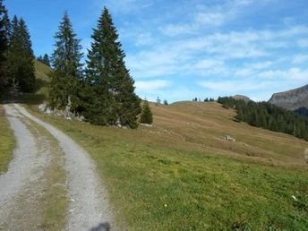 Blick zurück Richtung Roggenegg.