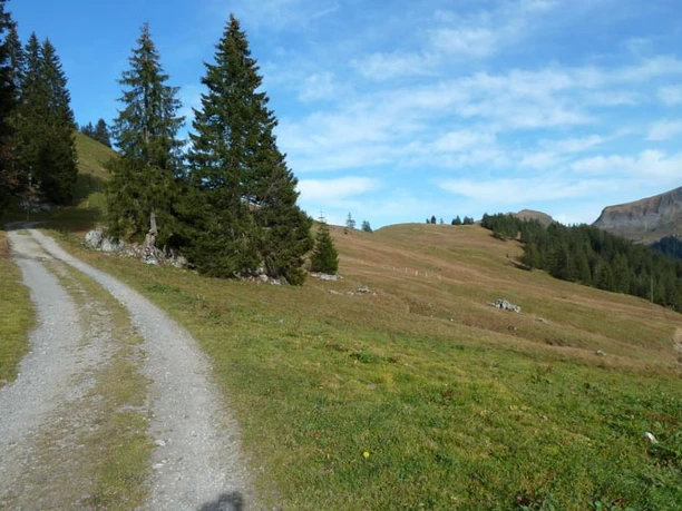 Blick zurück Richtung Roggenegg.