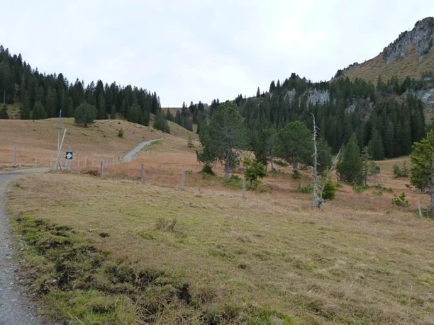 Naturschutzgebiet Tubenmoos.