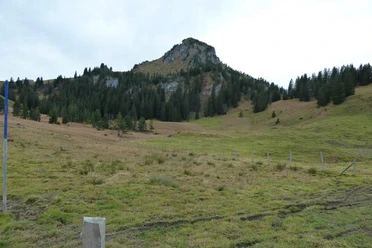 Blick auf den Gipfel des Roggenstocks.