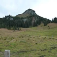 Blick auf den Gipfel des Roggenstocks.