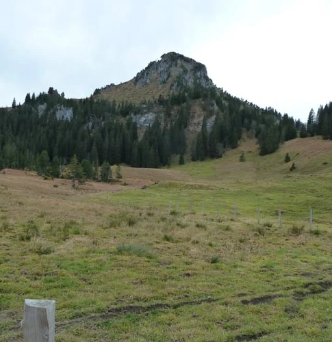 Blick auf den Gipfel des Roggenstocks.