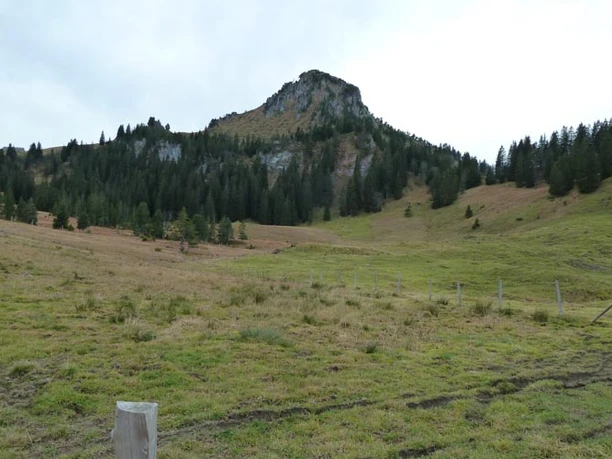 Blick auf den Gipfel des Roggenstocks.