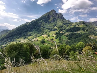 Ein schöner Wanderweg führt stets bergwärts