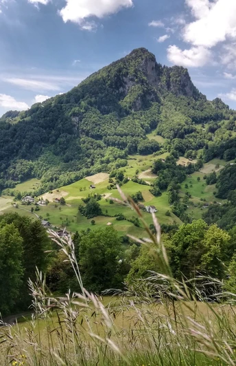 Ein schöner Wanderweg führt stets bergwärts