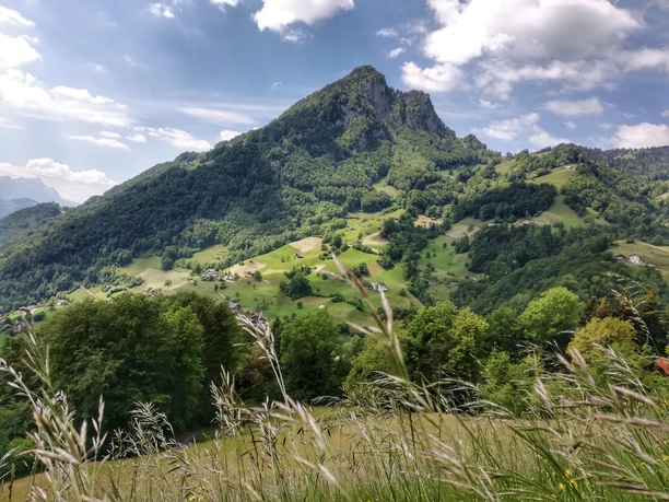 Ein schöner Wanderweg führt stets bergwärts