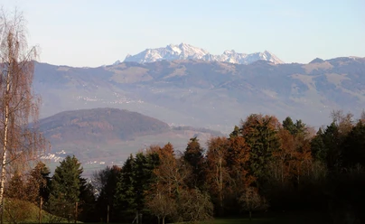 Fantastsische Aussicht bis zum Säntis.