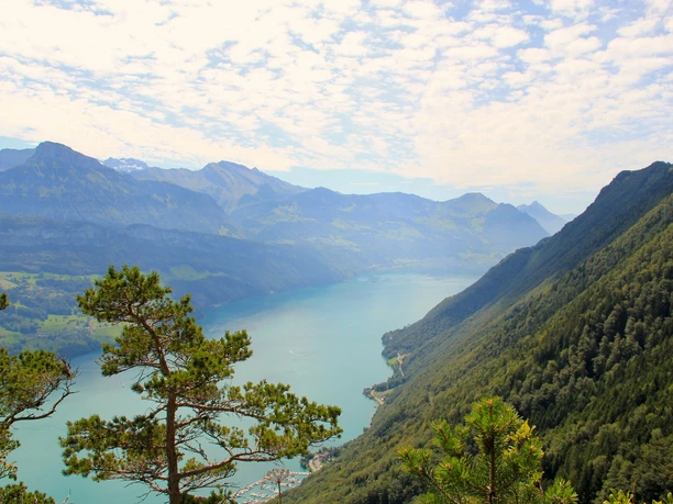 Blick über den Vierwaldstättersee Richtung Beckenried