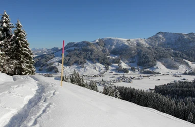 Aussicht auf Trachslau