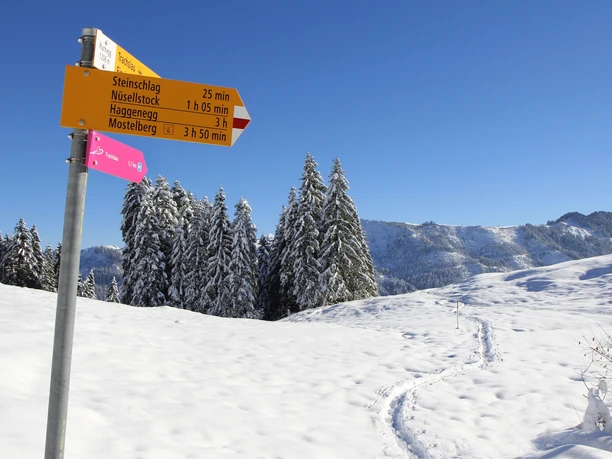 Wegweiser auf der Ruchegg