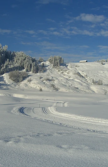 Finnenloipe Rothenthurm