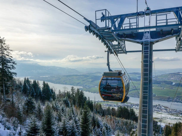 Luftseilbahn Küssnacht - Seebodenalp