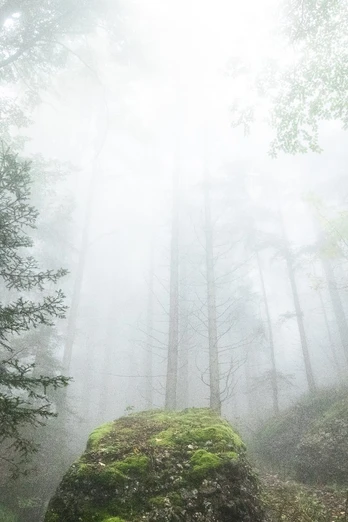 Durch eine mystische Waldlichtung gehts zum Felsentor