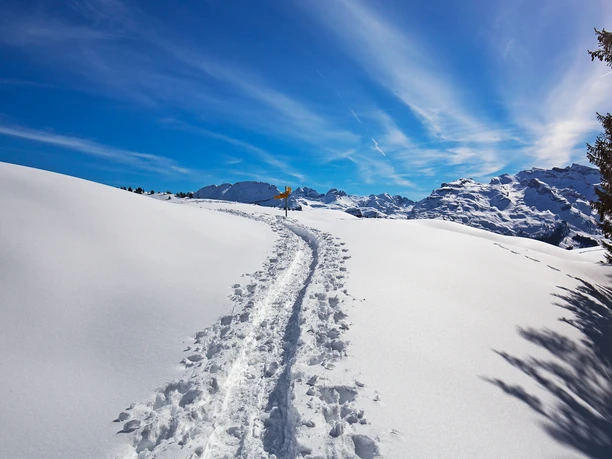 Schneeschuhtour Illgau