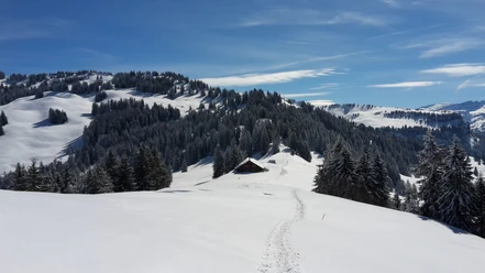 Schneeschuhwandern Illgau