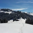 Schneeschuhwandern Illgau